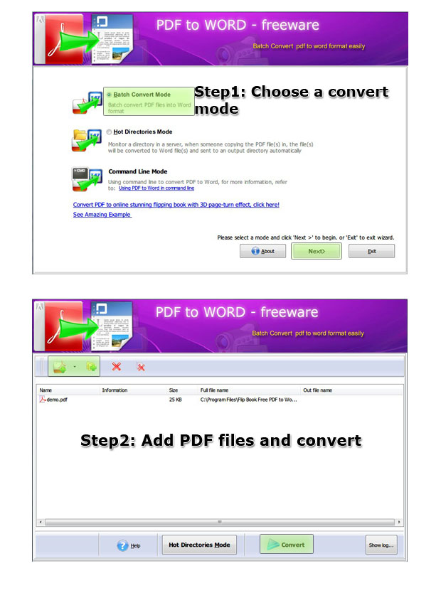 flash_brochure_free_pdf_to_word_steps